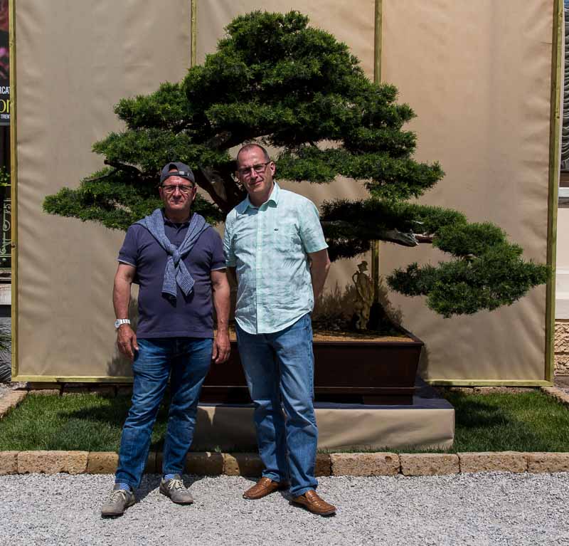 Arco Bonsai 2016